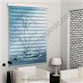 Poster Baskılı  Zebra Perde  SZR-1032