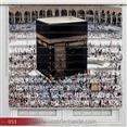 Poster Baskılı  Zebra Perde  SZR- 1106