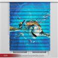 Poster Baskılı  Zebra Perde  SZR- 1076