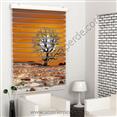 Poster Baskılı  Zebra Perde  SZR-1044