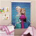 Poster Baskılı  Zebra Perde  SZR-1063