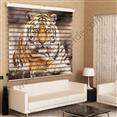 Poster Baskılı  Zebra Perde  SZR-1023 Kaplan