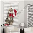Poster Baskılı  Zebra Perde  SZR-1017 Sevimli Kedicik